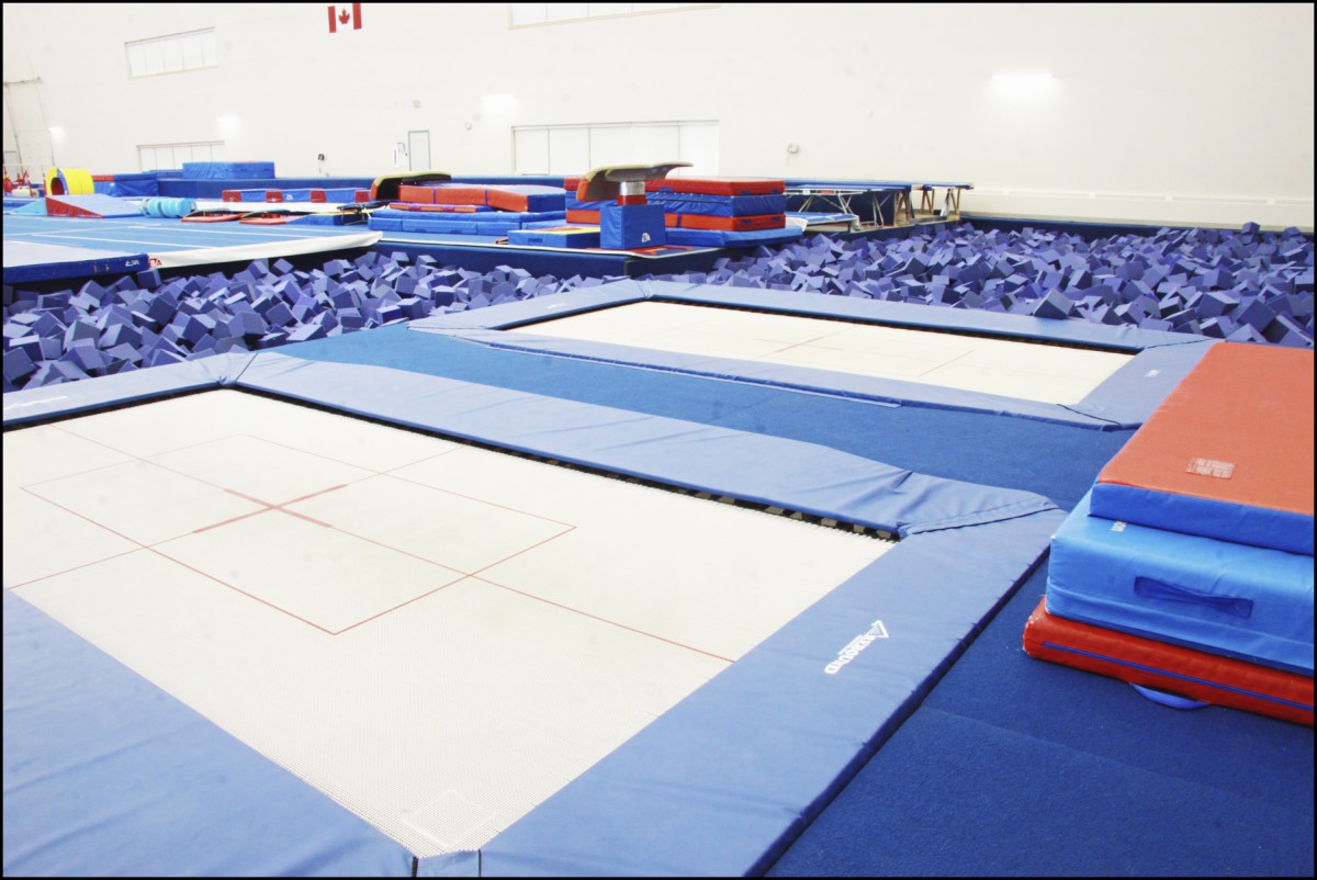 Grande Prairie Gymnastics Cheer Community Knowledge Campus